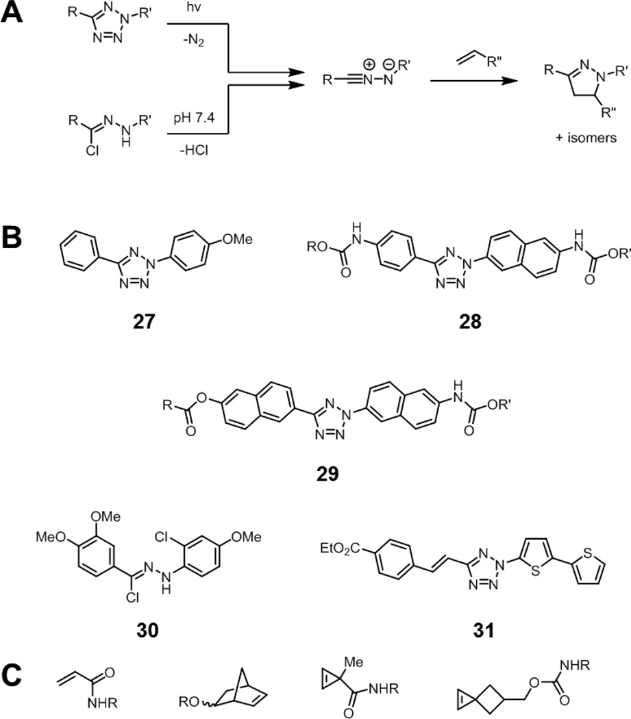 Fig. 12