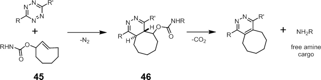 Fig. 16