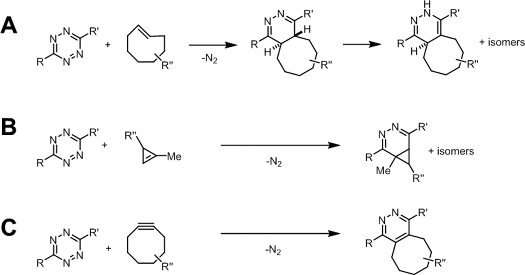 Fig. 13