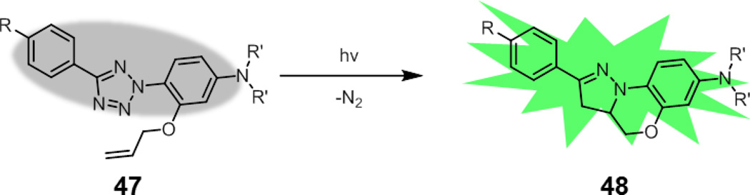 Fig. 18