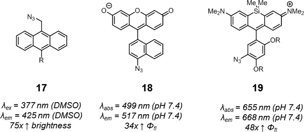 Fig. 10