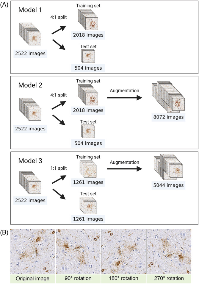 FIGURE 3