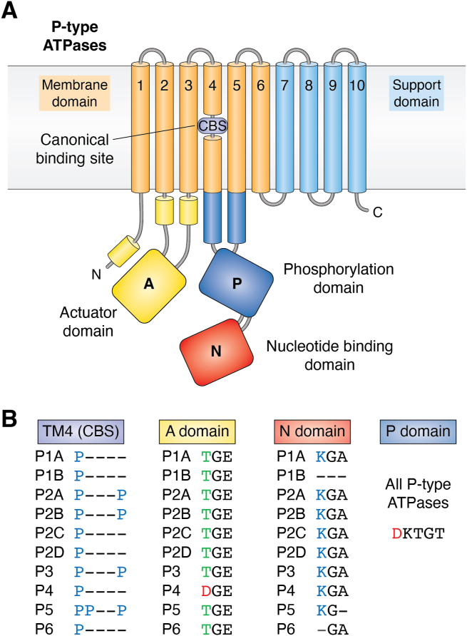 Figure 1