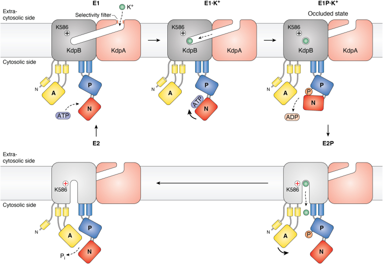 Figure 5