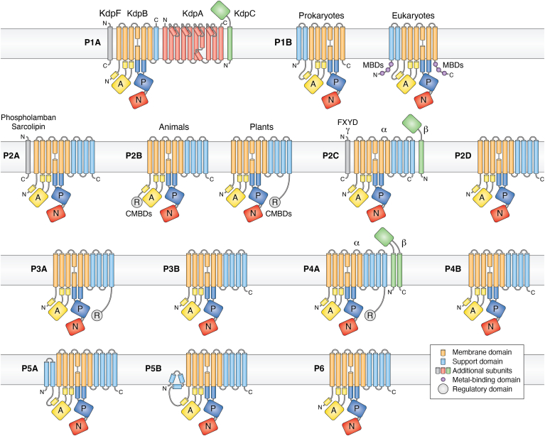 Figure 4