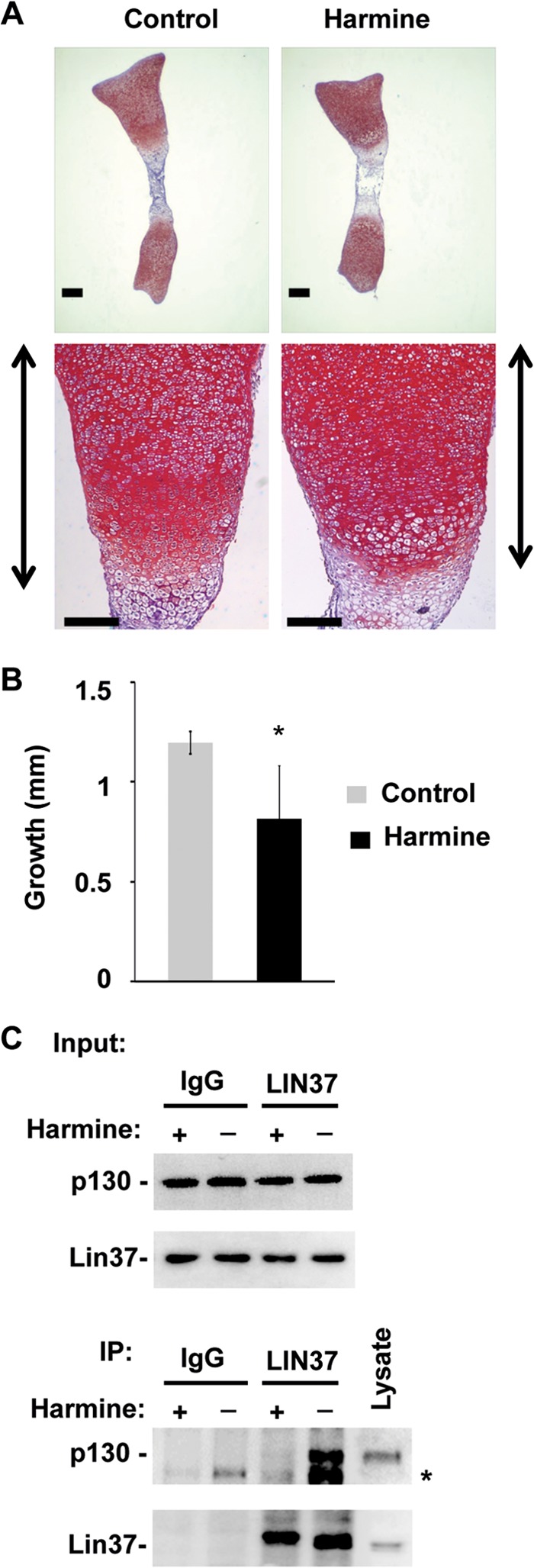 FIG 8