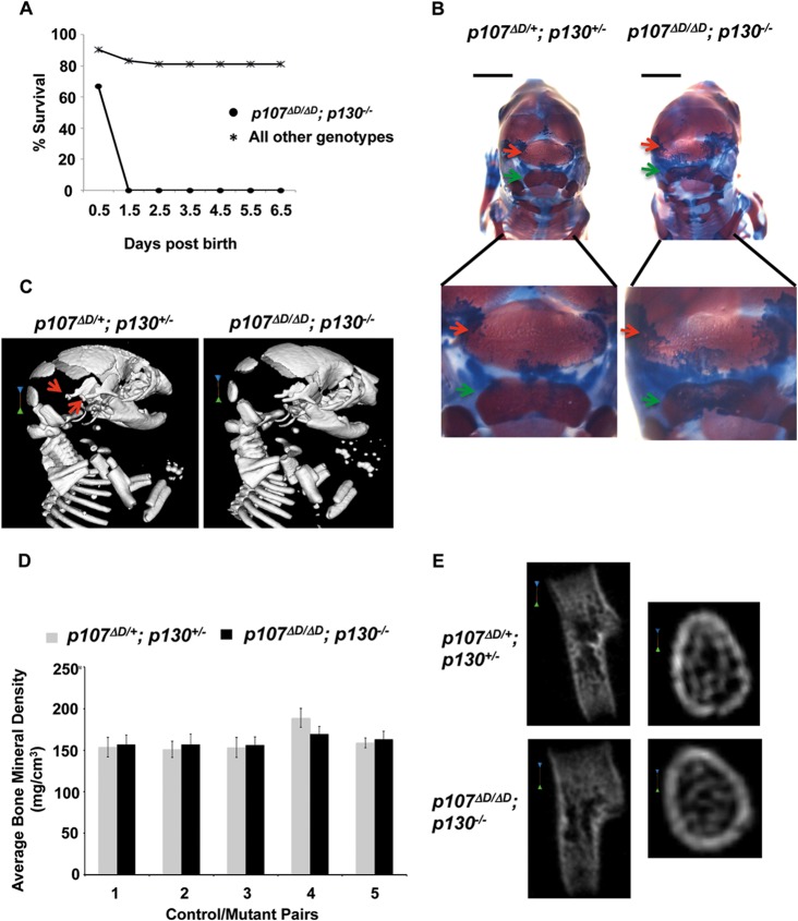 FIG 6