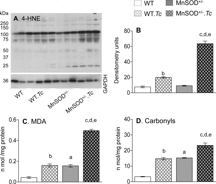 Fig 4