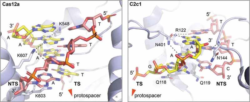 Figure 4.