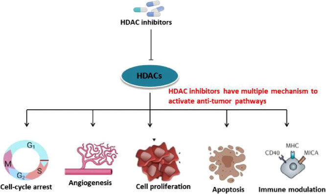 Image, graphical abstract