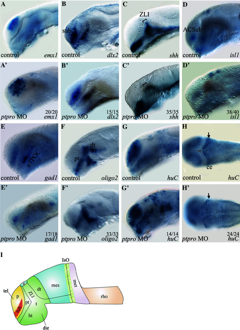 Fig. 3