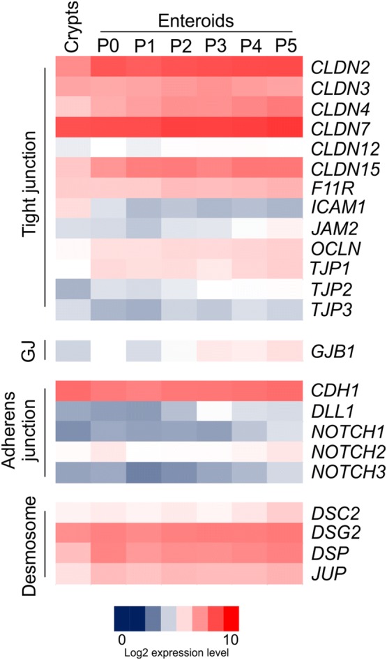 Figure 4