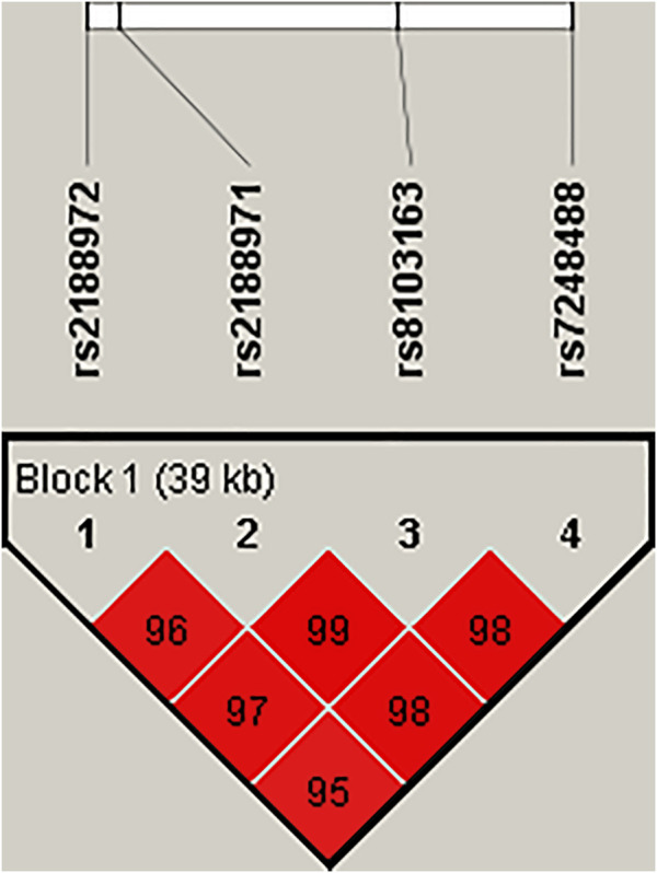 FIGURE 1