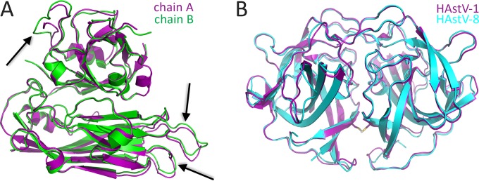 FIG 2