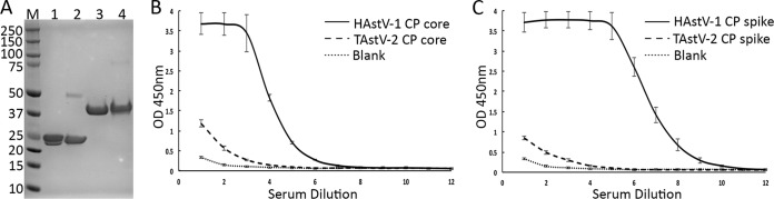 FIG 6