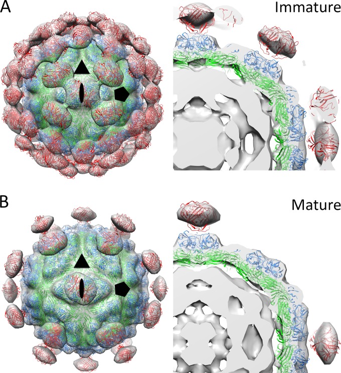 FIG 3