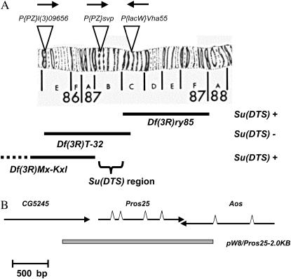 Figure 2.—