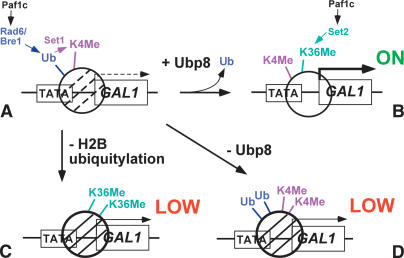 Figure 7.