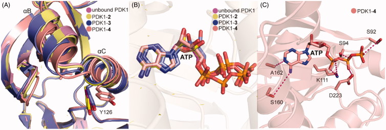 Figure 10.