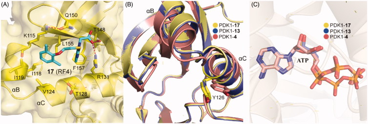 Figure 13.