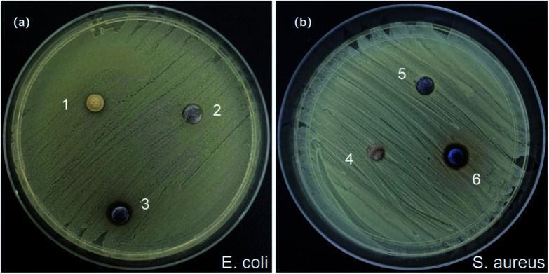 Fig. 8