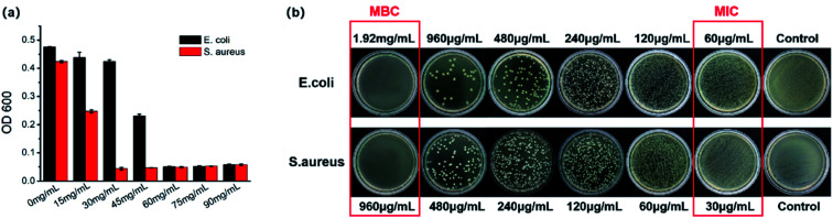 Fig. 9