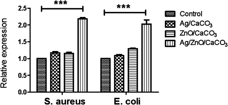 Fig. 11