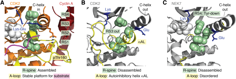 Figure 2