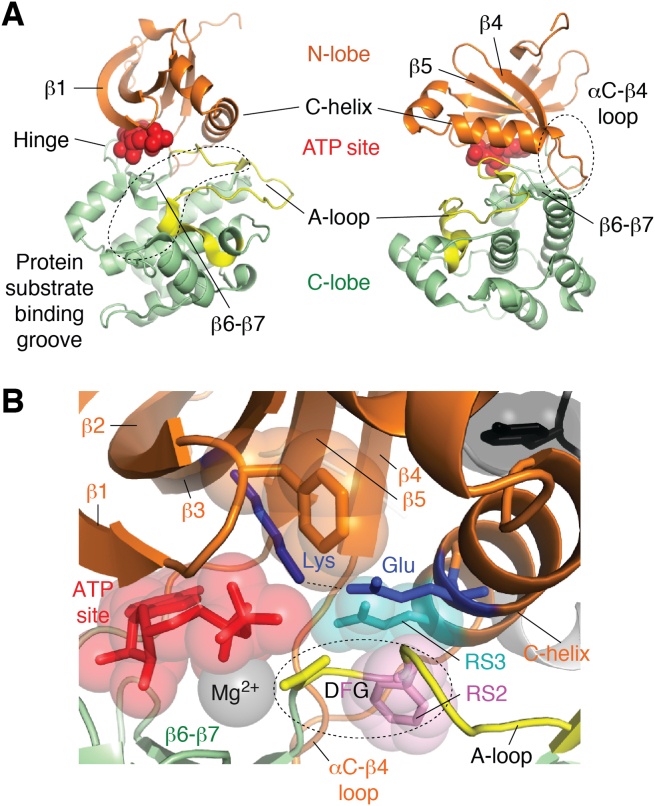 Figure 1