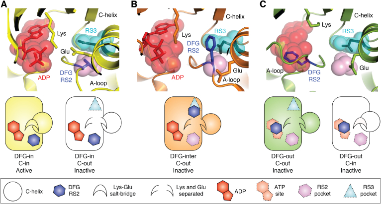 Figure 3