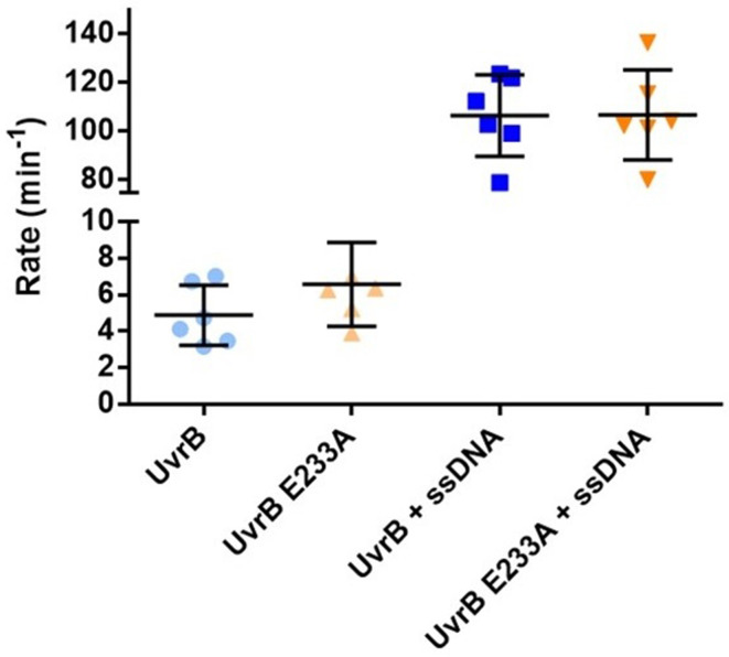 Figure 3—figure supplement 1.