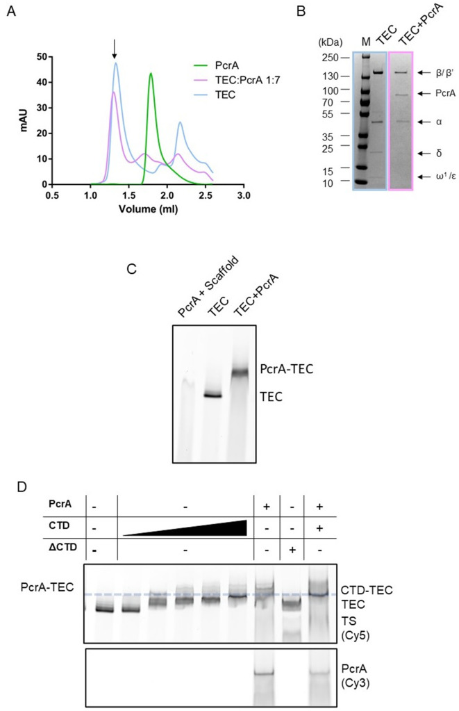 Figure 1—figure supplement 1.