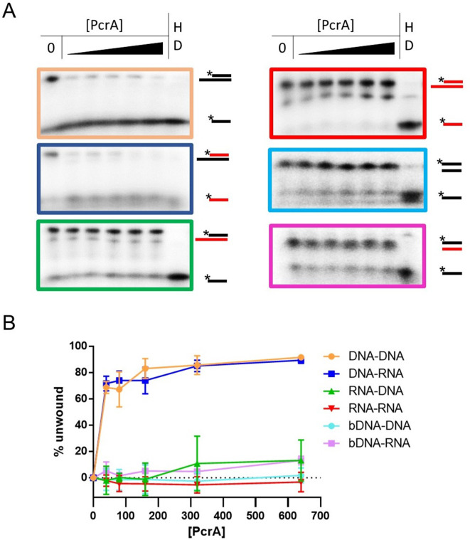 Figure 6—figure supplement 1.