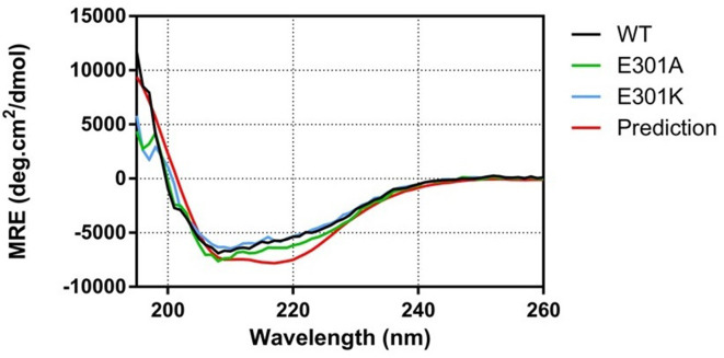 Figure 2—figure supplement 3.