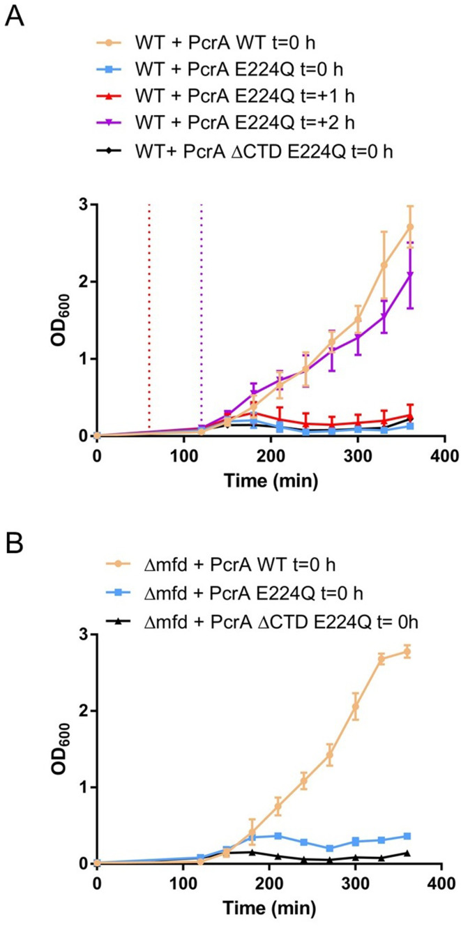 Figure 6—figure supplement 2.