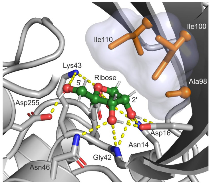 Figure 3