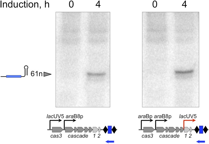 Fig. S1.