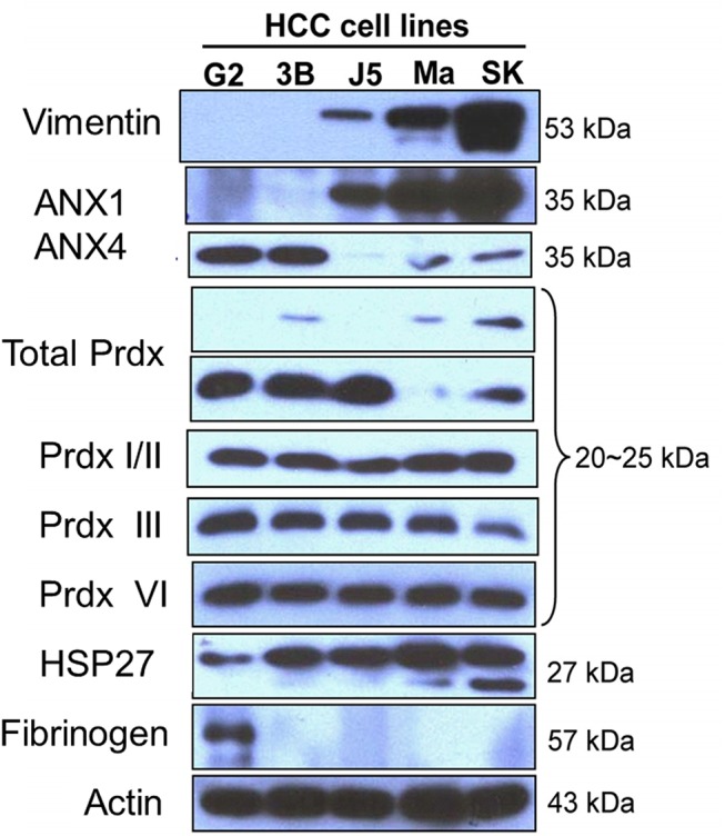 Fig 5