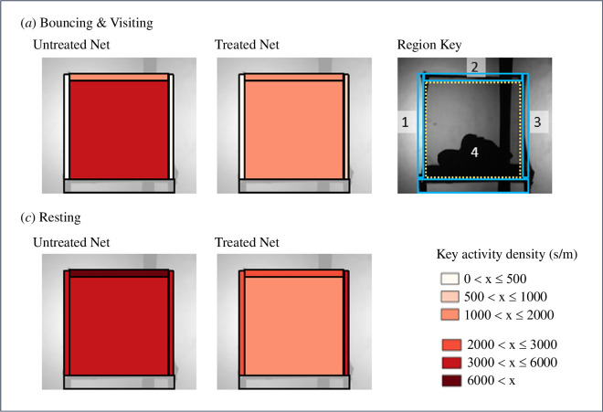 Variation in contact flight activity at different regions/surfaces on the bednet. Illustrating the range of bouncing, visiting and resting times recorded for mosquitoes on the different net surfaces