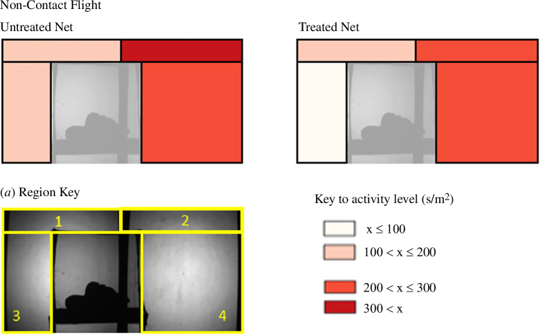 Variation in swooping flight activity in different regions around the bednet. Swooping flights make no contact with the bednet surface