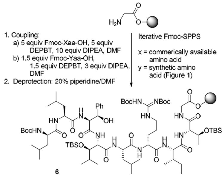 Scheme 1