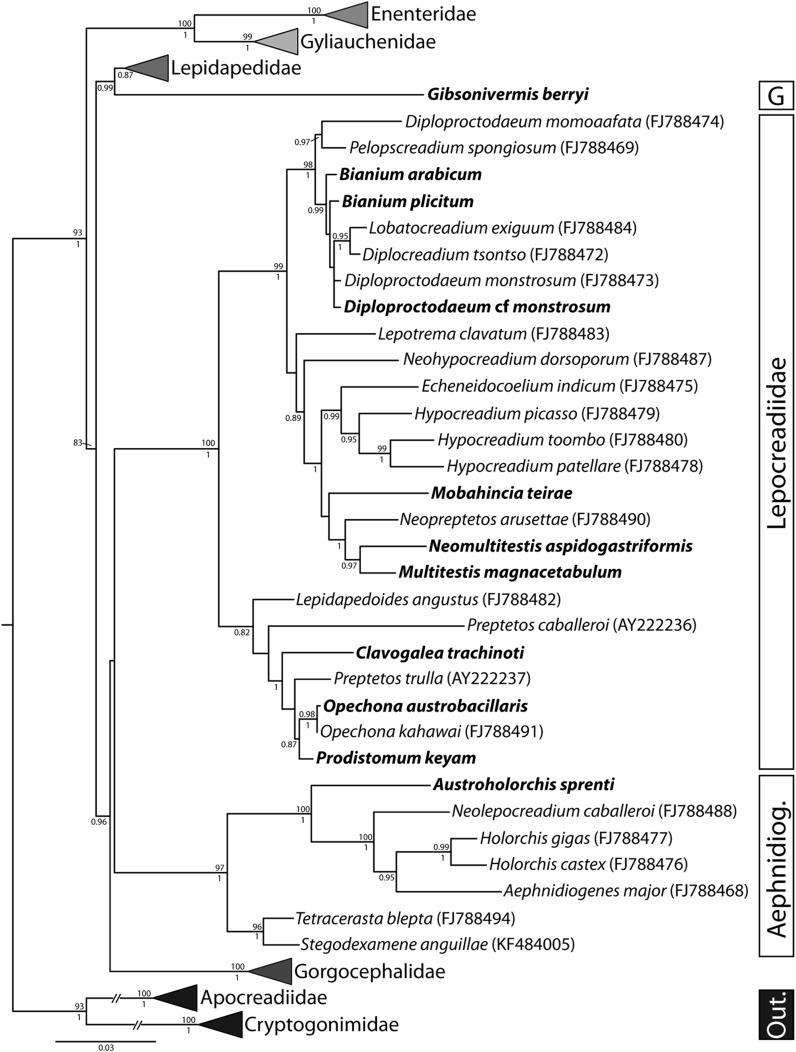 Fig. 2