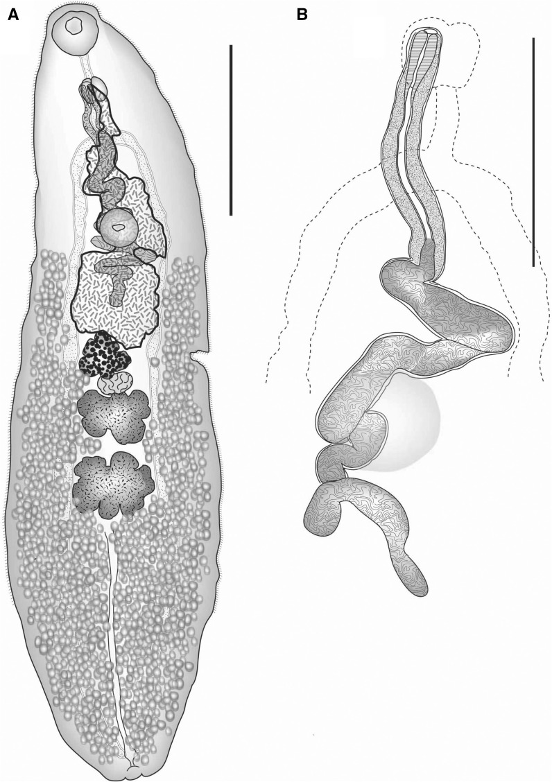 Fig. 3