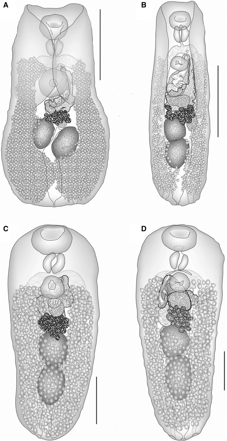 Fig. 1