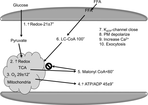 FIG. 5.