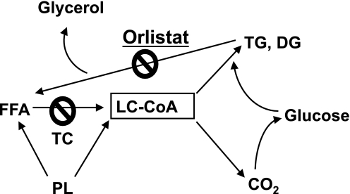 FIG. 9.