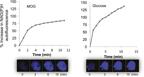 FIG. 6.