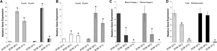 FIG 6