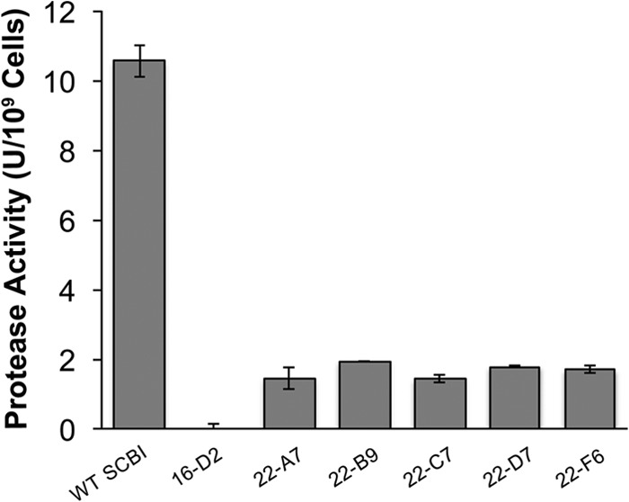 FIG 1