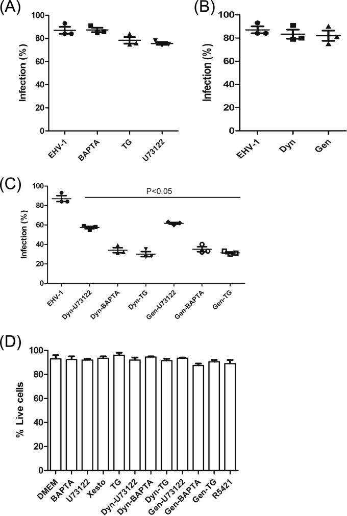 FIG 7 